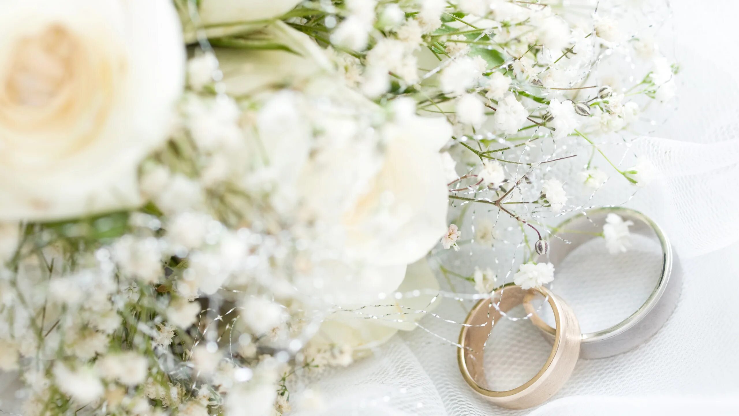 Красивый картинки свадьба 14 Скачать обои цветы, ткань, flowers, обручальные кольца, cloth, wedding rings, ра