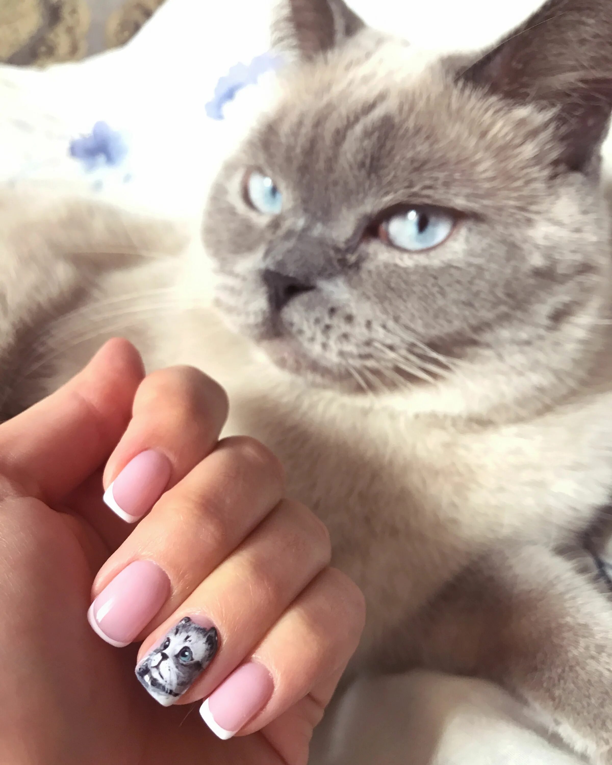 Красивый кошачий маникюр Маникюр с котиком Маникюр, Дизайнерские ногти, Ноготь