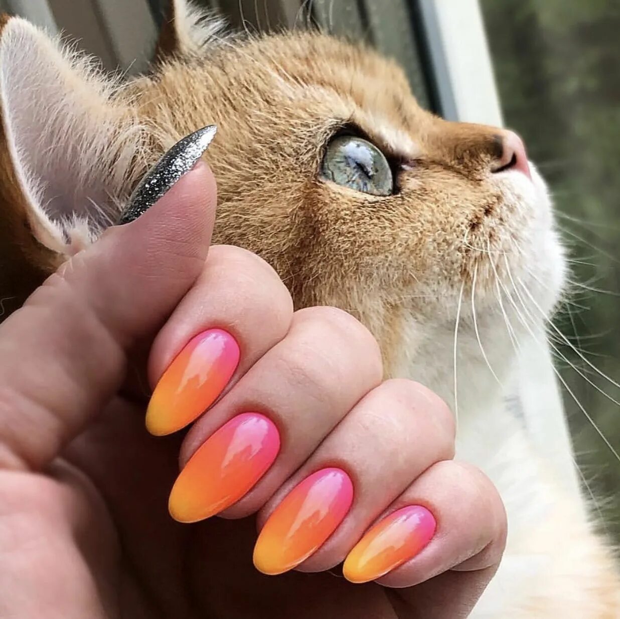 Красивый кошачий маникюр Pin by Виктория on Идеи дизайна ногтей Manicure, Nails, Nail art