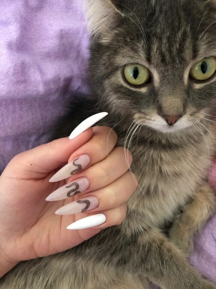 Красивый кошачий маникюр Пин от пользователя Lily Only на доске N A I L D E S I G N Дизайнерские ногти, Г