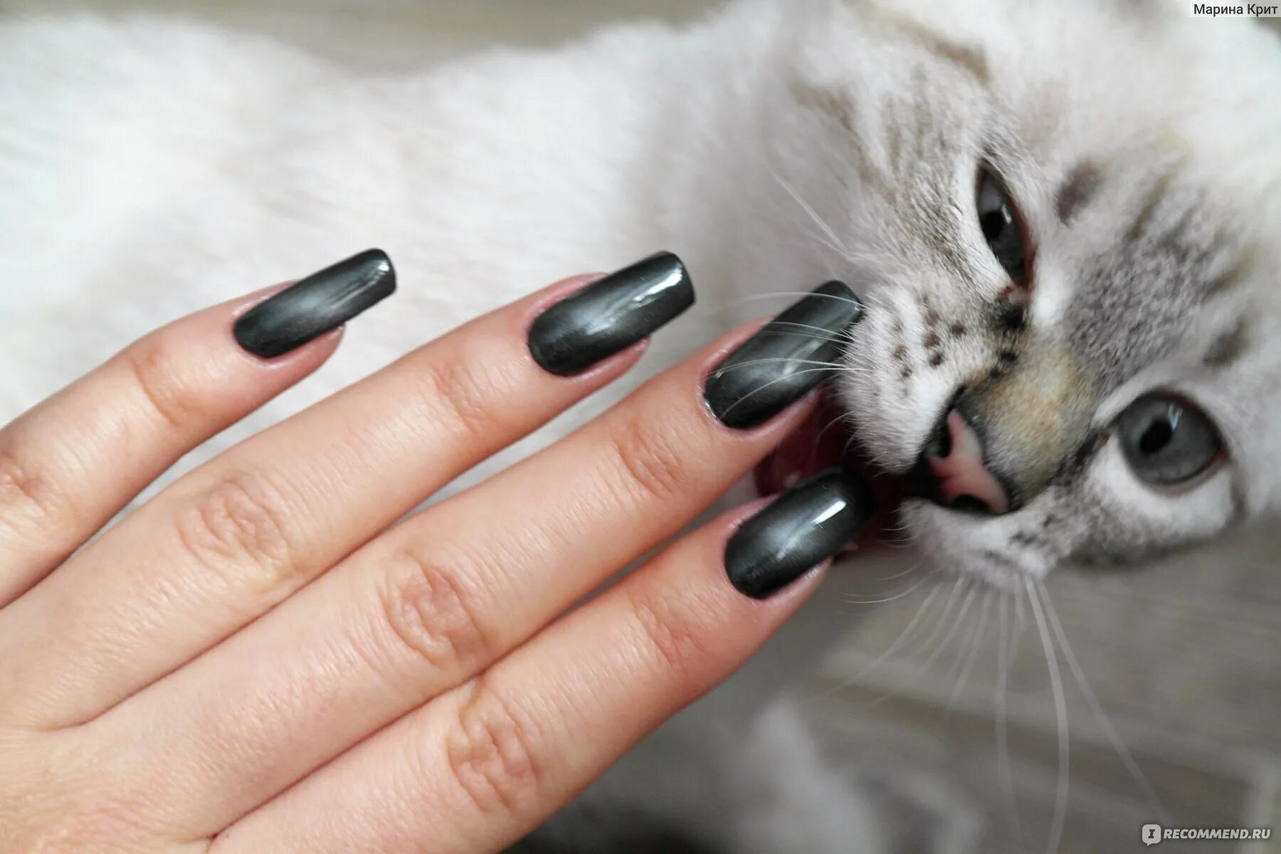 Красивый кошачий маникюр Гель-лак Holy Rose Cat`s Eye - "Шикарные "кошки" с потрясающим бликом и особой х