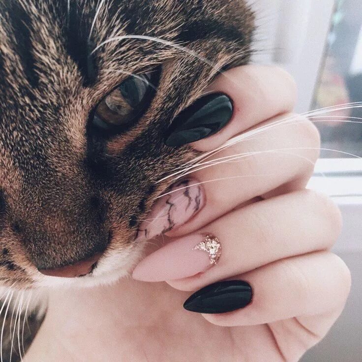 Красивый кошачий маникюр Pin by Margaret Mosheva on Маникюр Manicures designs, Nail art, Trendy nails
