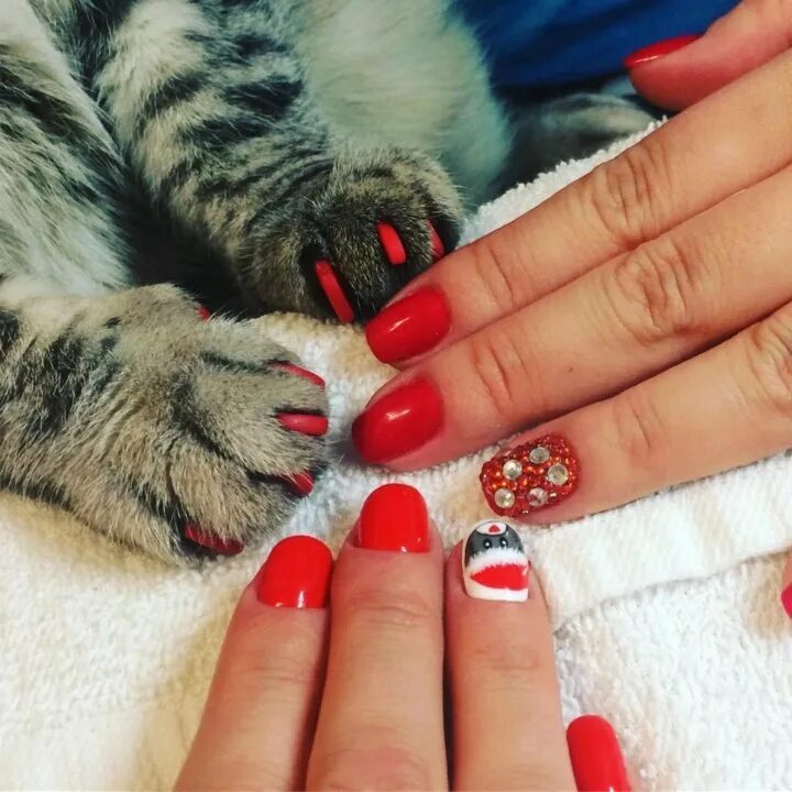 Красивый кошачий маникюр Неактивно