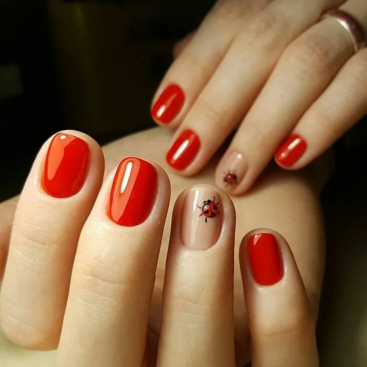 Красивый красный маникюр короткие ногти Pin about Nails and Beauty on Nails in 2019