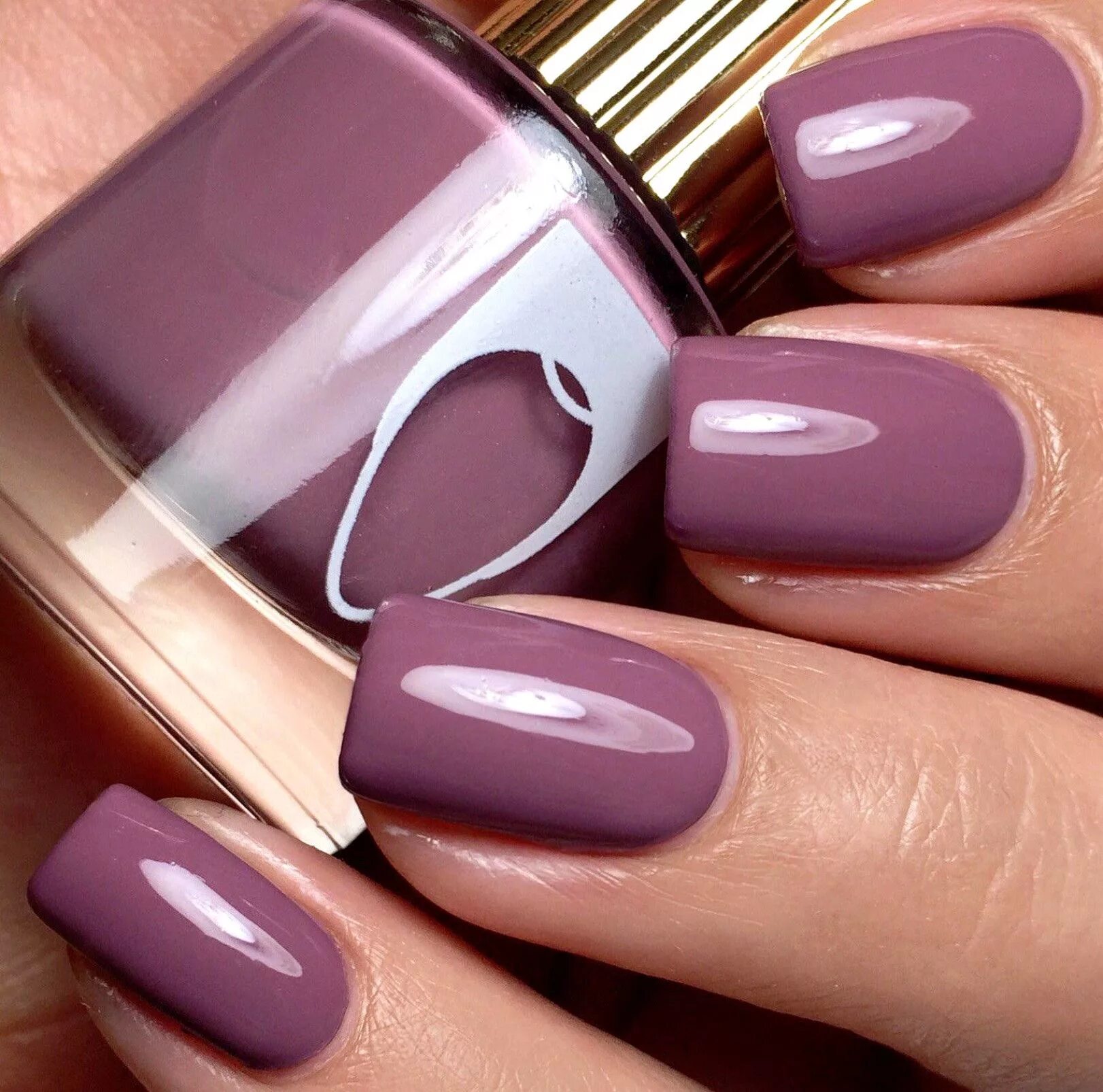 Красивый лак на короткие ногти фото MAUVE WIVES #GelNailPolishColors Mauve nails, Cute nail colors, Nail colors