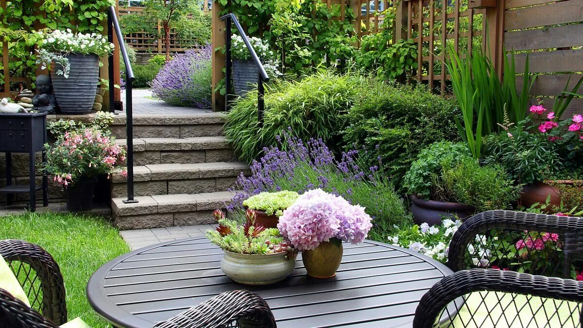 Красивый ландшафтный дизайн BBC Radio Ulster - Gardeners' Corner, Small urban garden special