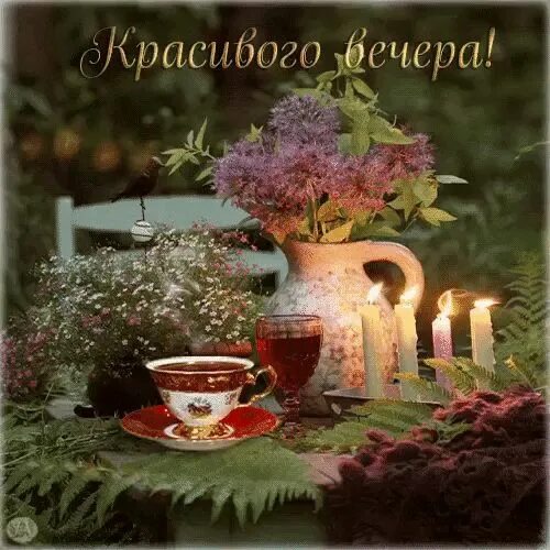 Красивый летний вечер картинки с пожеланиями Красивого вечера Романтические идеи, Сова картинки, Открытки