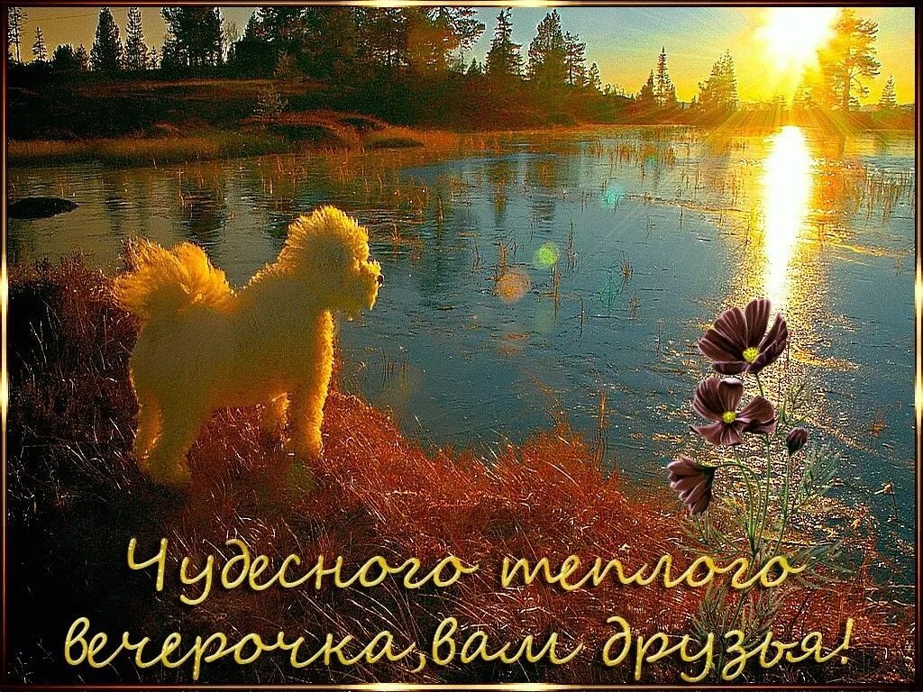 Красивый летний вечер картинки с пожеланиями Пин от пользователя Alina Meys на доске Добрый вечер Анимация, Картинки, Ночь