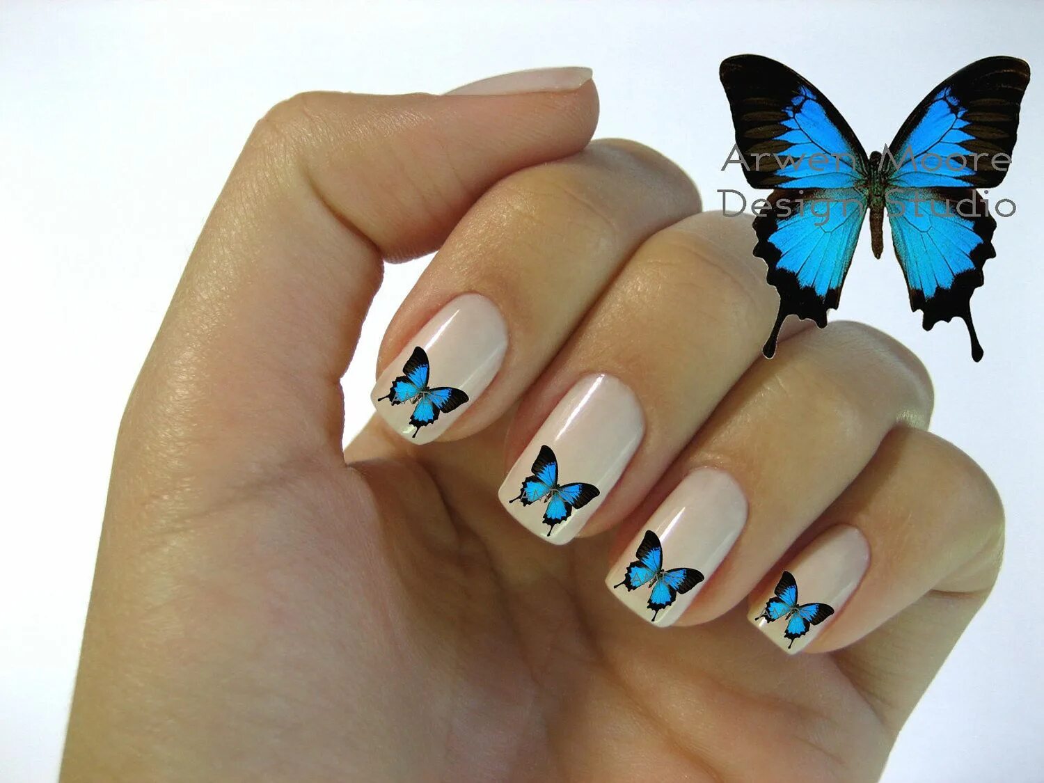 Красивый маникюр бабочки Nails Decorated with Butterflies Butterfly nail designs, Butterfly nail art, But