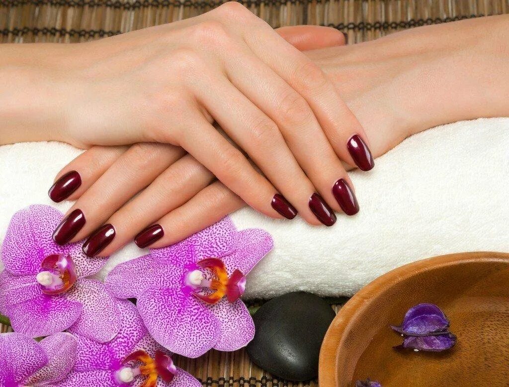 Красивый маникюр фото для женщин Покрытие ногтей лаком N - Ergo салон красоты