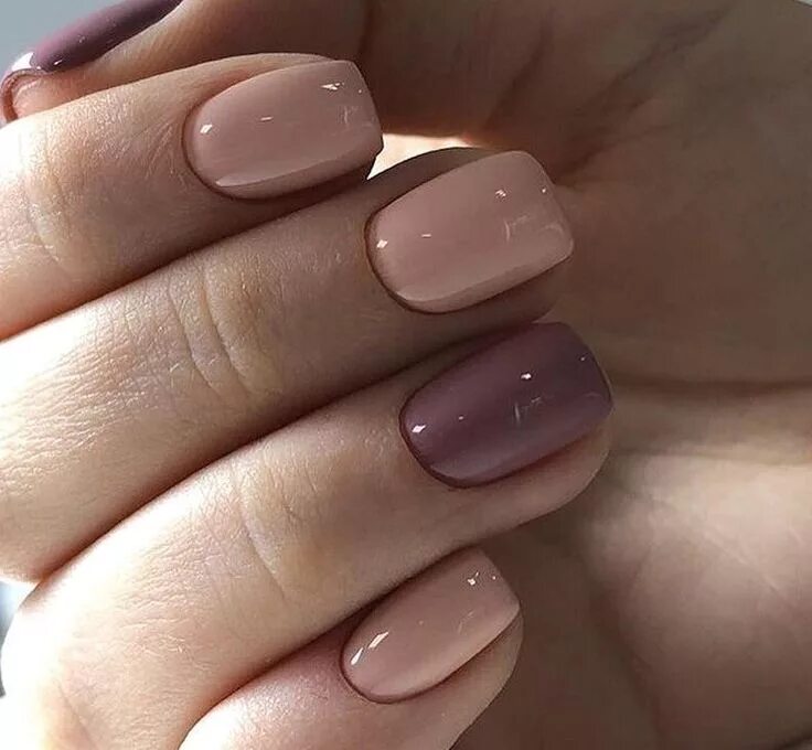 Красивый однотонный маникюр на коротких ногтях Pin on manicure Chic nails, Nails, Classic nails