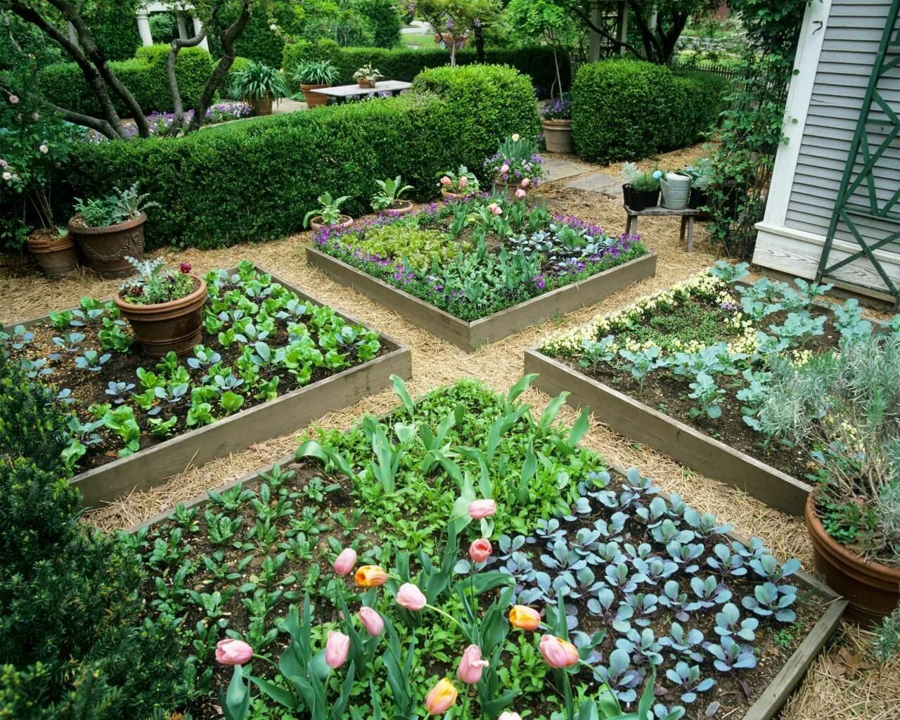Красивый огород своими руками фото Do It Yourself Gardening With Raised Garden Beds - DIY Ideas Garten landschaftsb