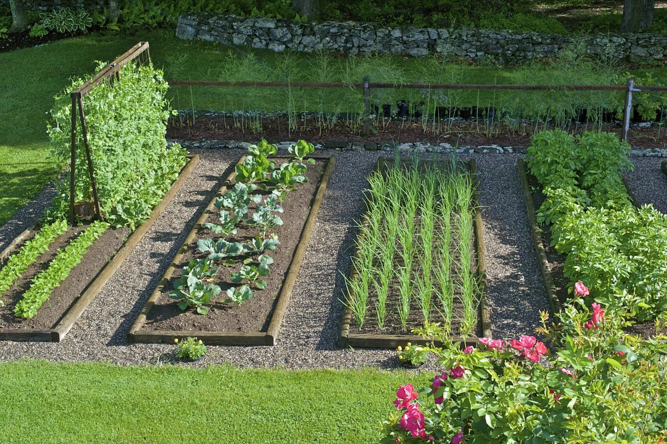 Красивый огород своими руками фото Dreaming of Spring with Seed Catalogues Vegetable garden design, Garden layout, 