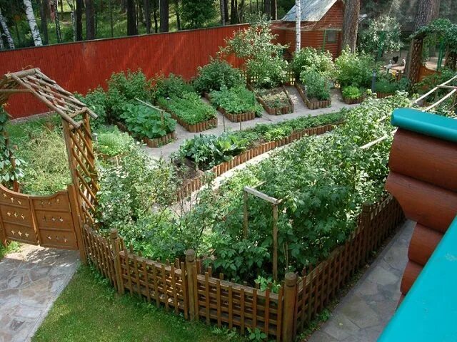 Красивый огород своими руками фото Вариант планировки огорода Raised vegetable gardens, Backyard vegetable gardens,