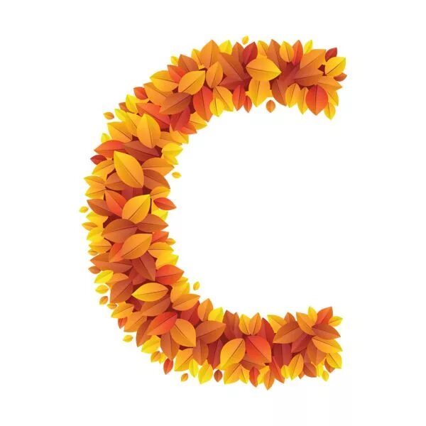 Красивый осенний алфавит для оформления Buchstabe - Letter C Blätter, Buchstaben, Lettern