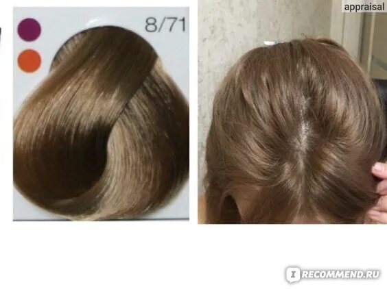 Краска 8.75 фото Краска для волос Londa professional интенсивное тонирование - "Londa 7/7, 8/71, 
