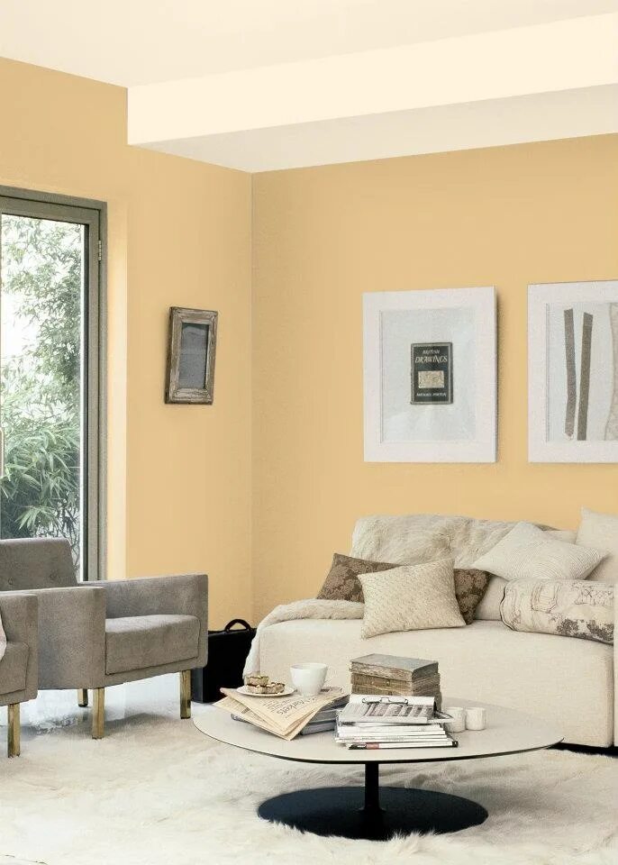 Краска бежевая для стен в интерьере LUZ DURAZNO 10YY 72/172 ALBA Mocha living room, Living room color, Room color de