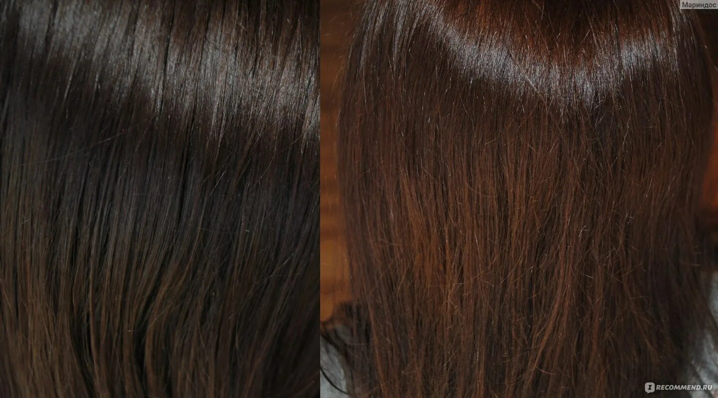 Краска шоколад фото до и после Крем-краска для волос Palette Intensive Color Интенсивный цвет - "Оттенок LG5 те