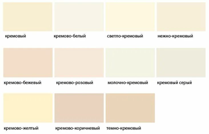 Краска светло бежевая фото Новости Кремовые цветы, Цветы, Палитра