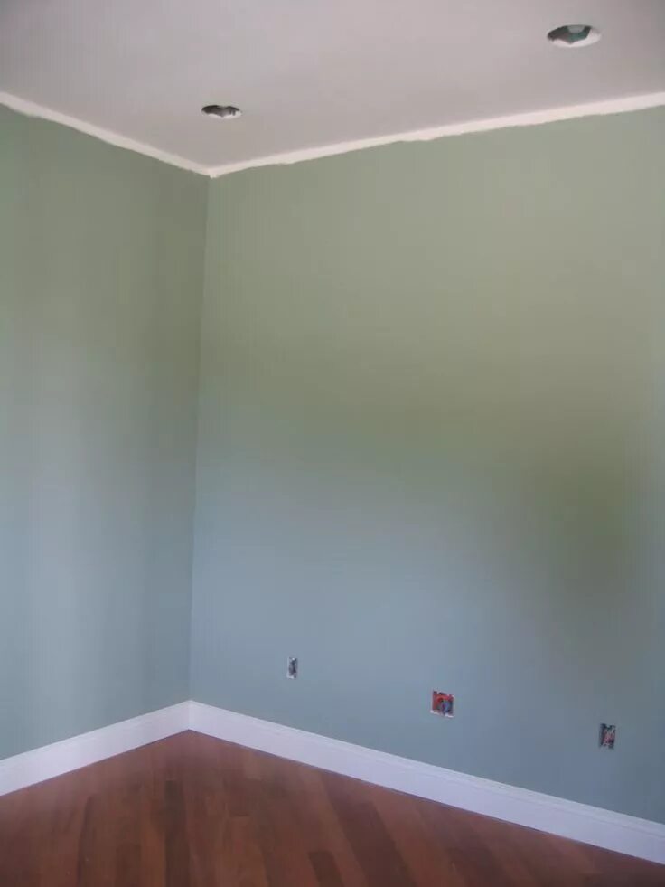 Краска тиккурила фото стен Sherwin Williams Coastal Plain New house bathroom, Paint colors, Wall color