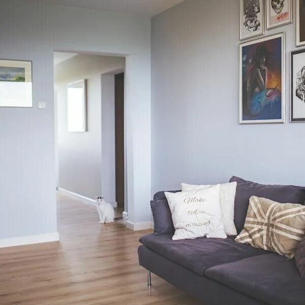 Краска в интерьере фото Светлые серые цвета краски House interior, Borrowed light, Home pictures