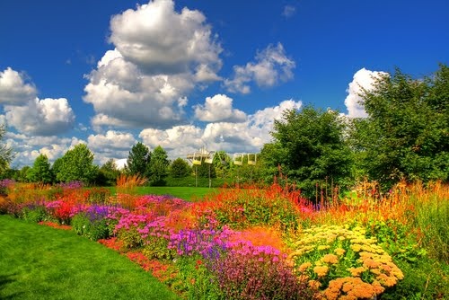 Краски лета фото Summer Colors! This picture just screams summer. The bright blue, deep green, br
