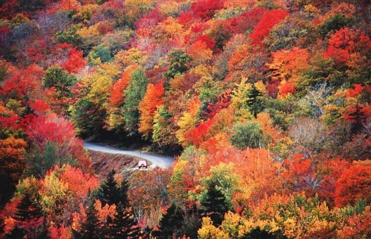 Краски осени фото высокого качества New England: the gold rush Robert McCrum New england fall, Autumn scenery, Scene