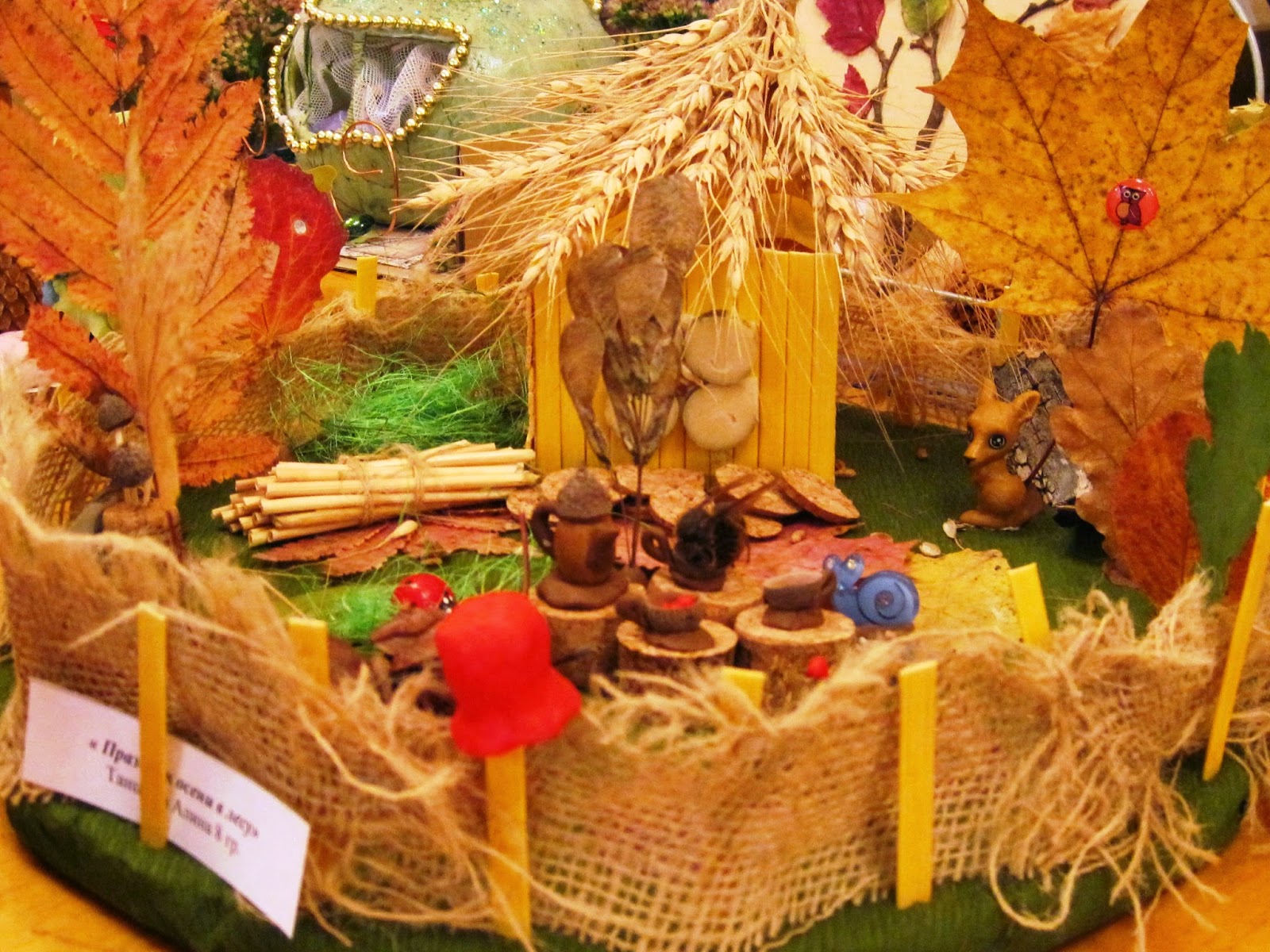 Краски осени конкурс фото Итоги конкурса осенняя палитра Shtampik.com