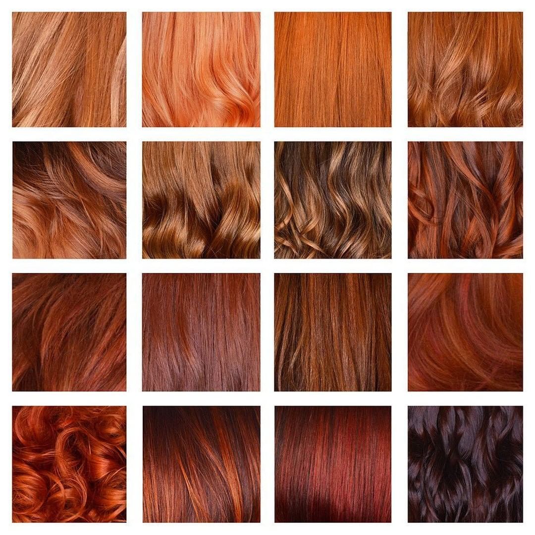 Краски рыжих оттенков фото и названия Image may contain: one or more people in 2019 Hair color, Ginger hair color, Hai
