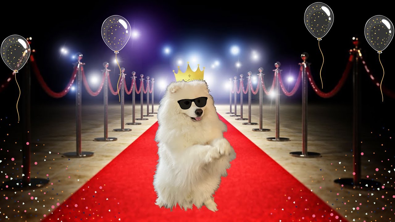 Красная дорожка фото The FLOOFBALL!!! - YouTube