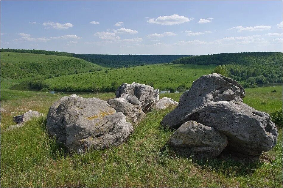 Красная гора тульская область фото Ведьмино красногорье По тропинкам наших странствий Дзен