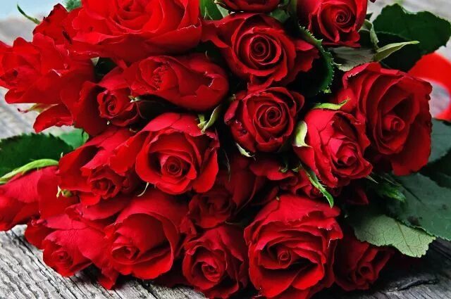 Красная картинка с днем рождения женщине Klikněte pro zobrazení původního (velkého) obrázku Red rose bouquet, Rose flower