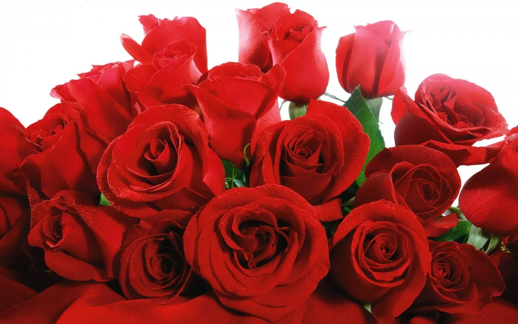Красная картинка с днем рождения женщине Red Valentine Roses - 1680 x 1050