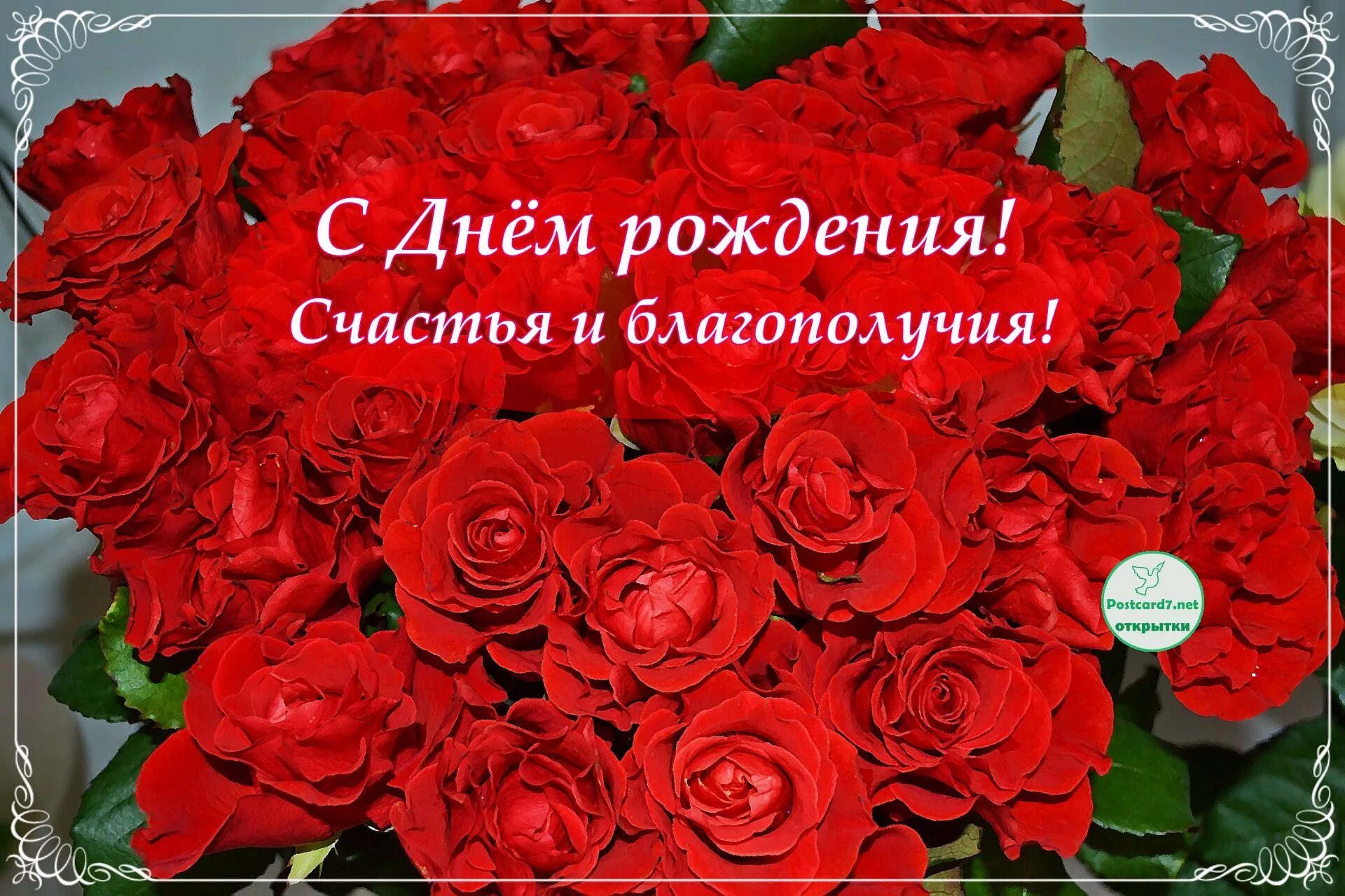 Красная картинка с днем рождения женщине Скачать картинку ПОЗДРАВЛЕНИЕ С ДНЕМ РОЖДЕНИЯ КРАСНАЯ № 4