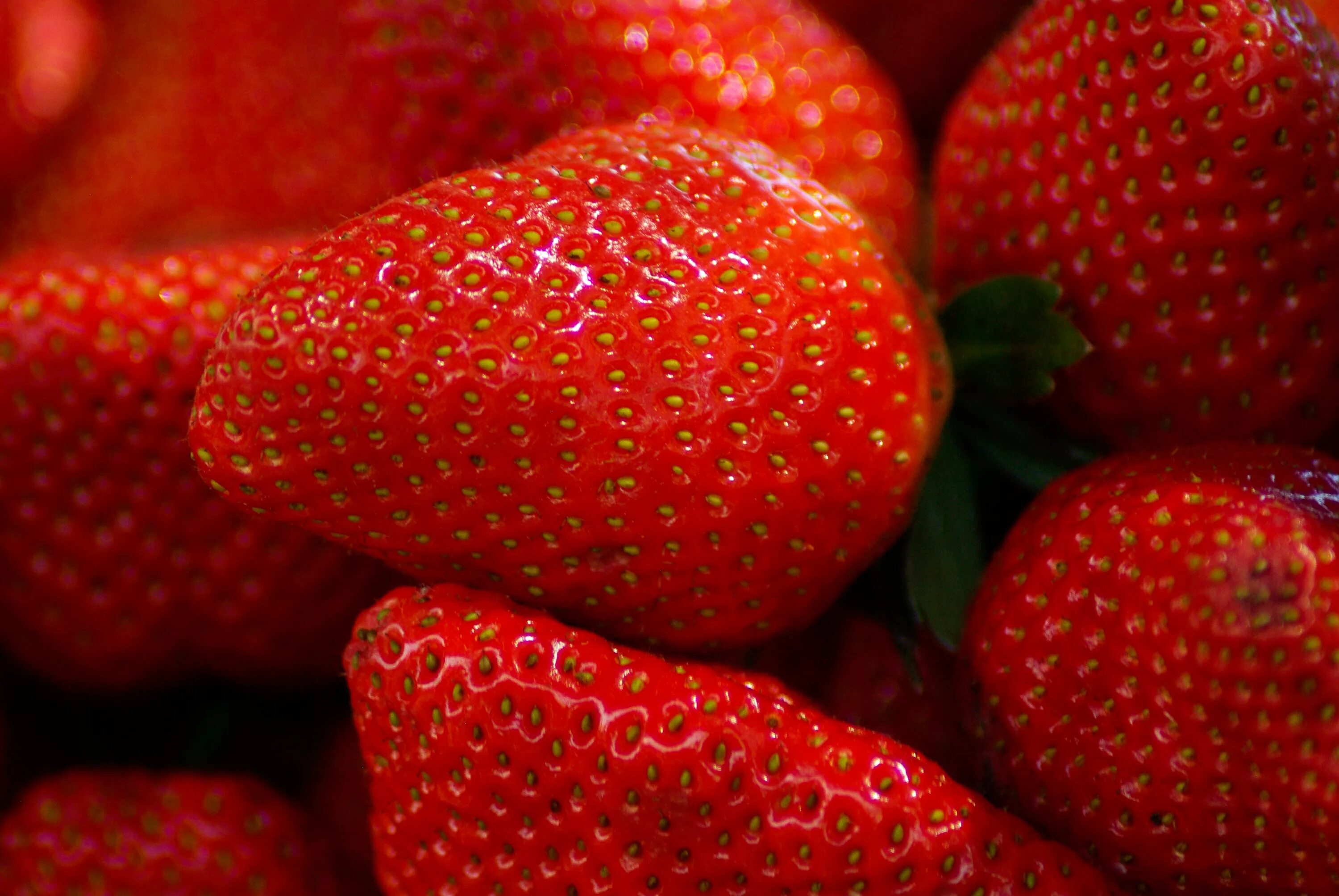 Красная клубника фото Free Images : plant, fruit, petal, food, produce, dessert, strawberry, strawberr