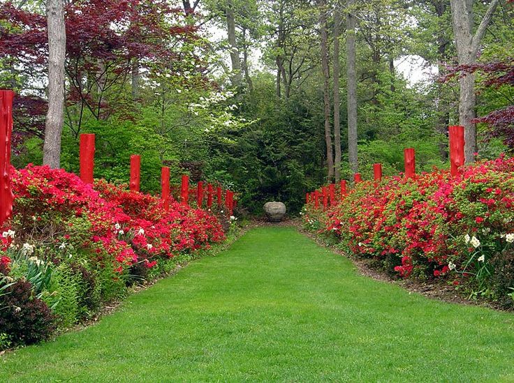 Красная клумба фото Serenity in the Garden: Hospital Makeovers - Healthcare in the Garden Garden des