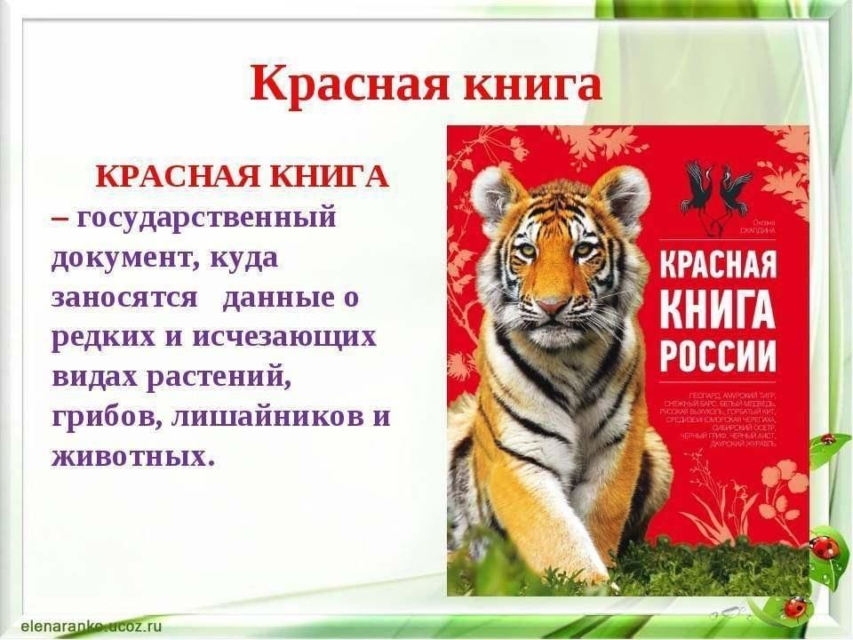 Красная книга 2 класс фото Час экологических знаний. "Красная книга и её обитатели" 2024, Сабинский район -
