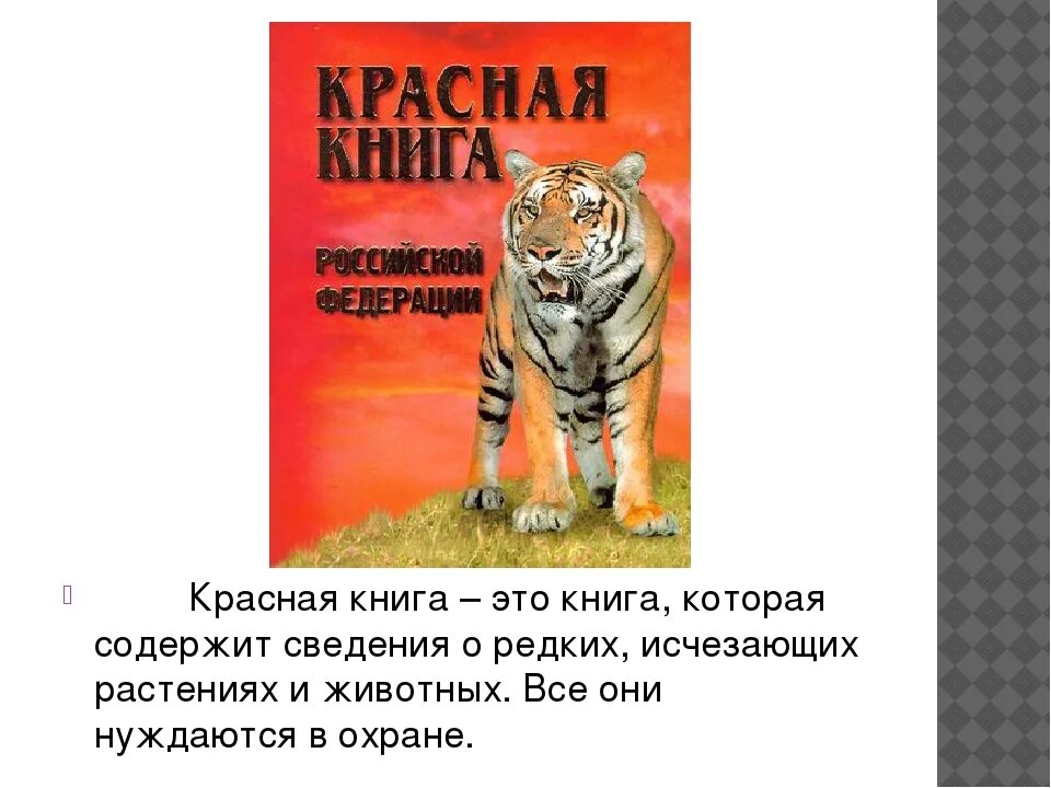 Красная книга 2 класс фото Школьный проект красная книга