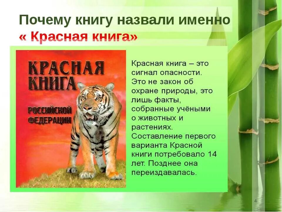 Красная книга 2 класс фото Презентация о красной книге