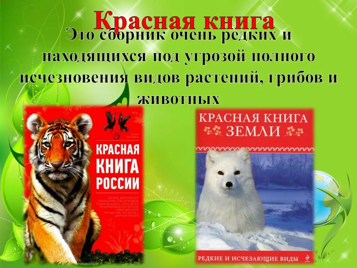 Красная книга фото для презентации Презентация на тему: "Охрана природы"