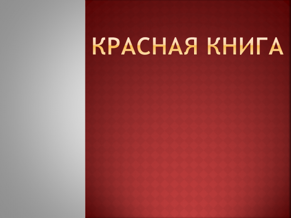 Красная книга фото для презентации Презентация Красная книга России - скачать бесплатно pptx