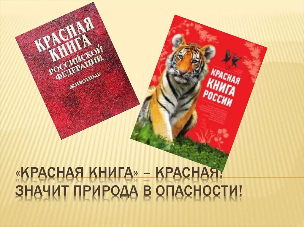 Красная книга фото для презентации Знакомство дошкольников с Красной книгой - презентация онлайн