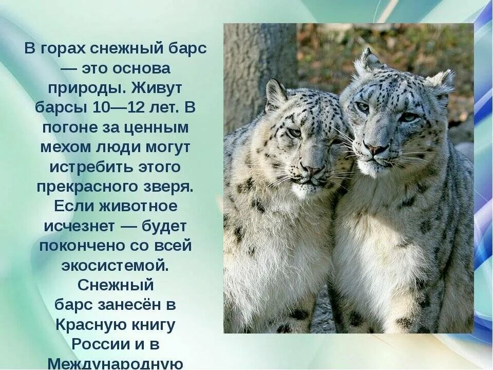 Красная книга международная животные фото и описание Занесенные животные в красную книгу на английском - найдено 82 картинок
