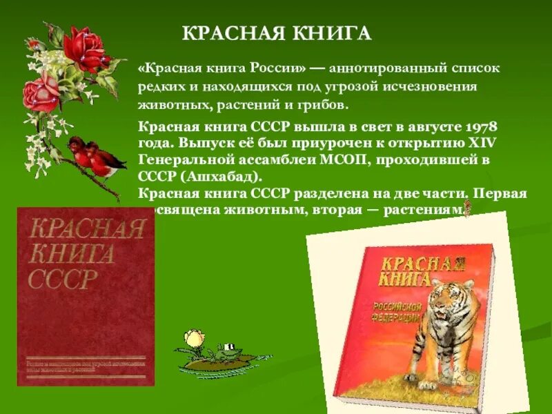Красная книга мсоп фото Находящиеся под угрозой исчезновения красная книга