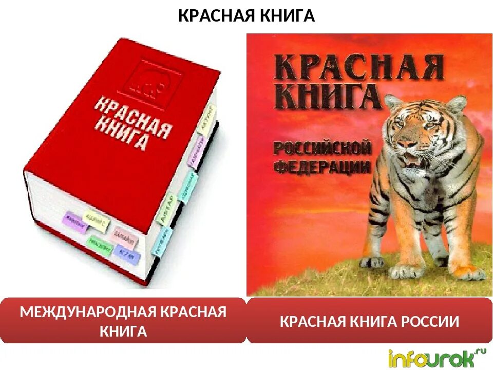 Красная книга мсоп фото Картинки международная красная книга