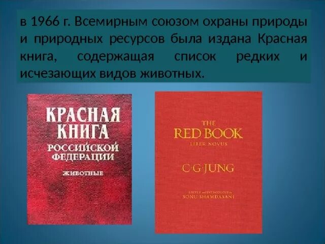 Красная книга мсоп фото Презентация по биологии для 7 класса на тему: " Классификация животных".