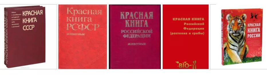 Красная книга мсоп фото Биологическое разнообразие и проблемы его сохранения. Н.Л. Болотова
