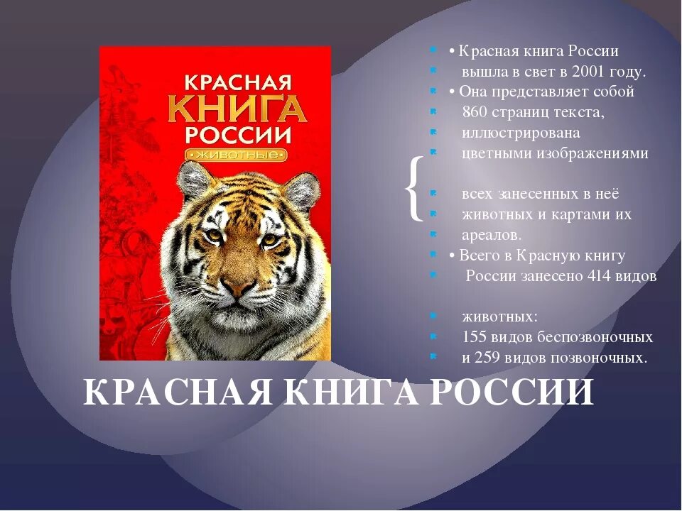 Красная книга мсоп фото Экологическое занятие "Тайна дикой природы" в Больше-Ермаковской сельской библио
