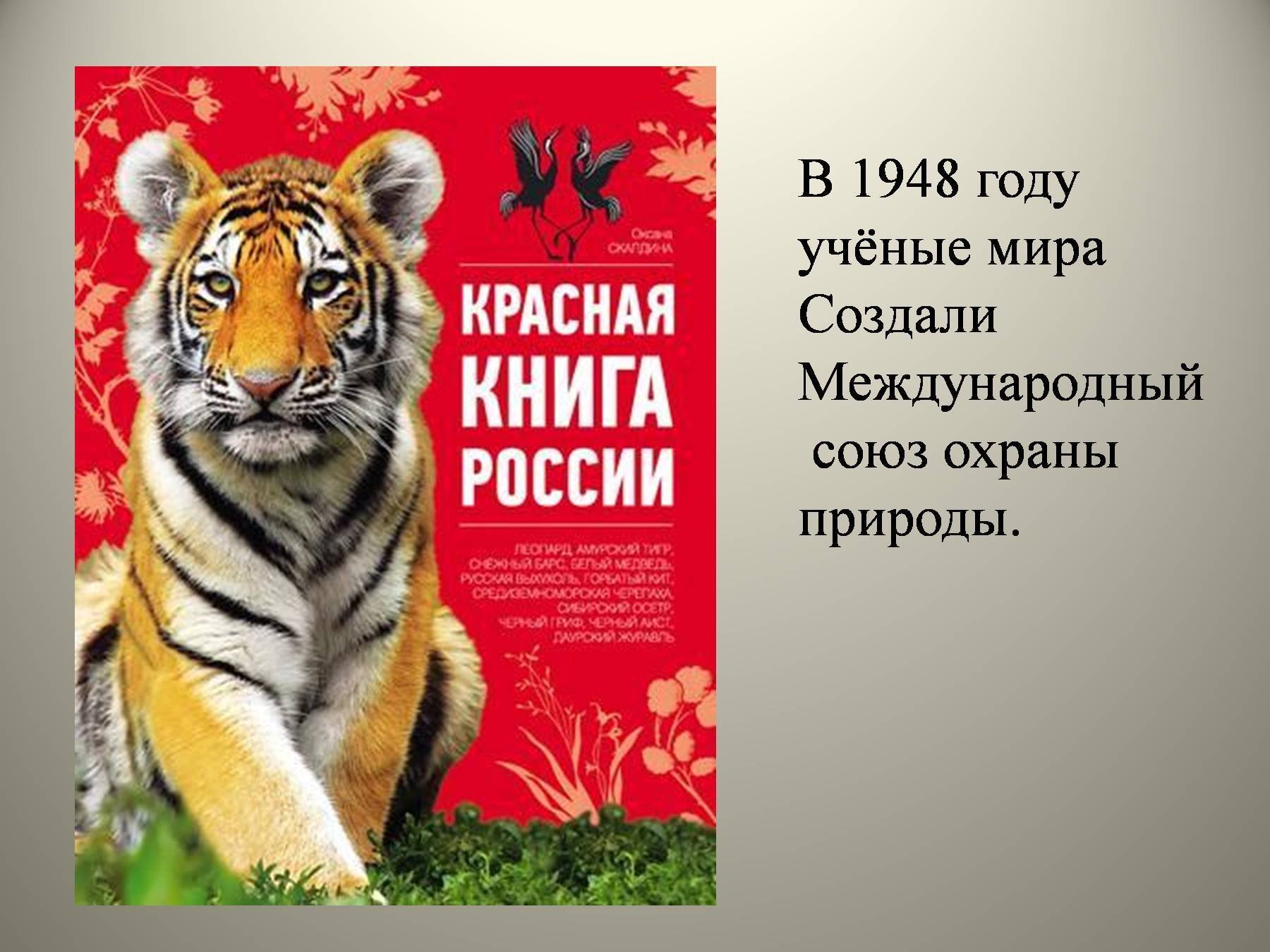 Красная книга мсоп фото Новая красная книга