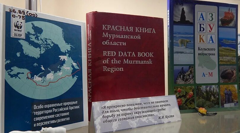 Красная книга мурманской области фото Минприроды региона запускает рубрику о краснокнижных животных и растениях Мурман